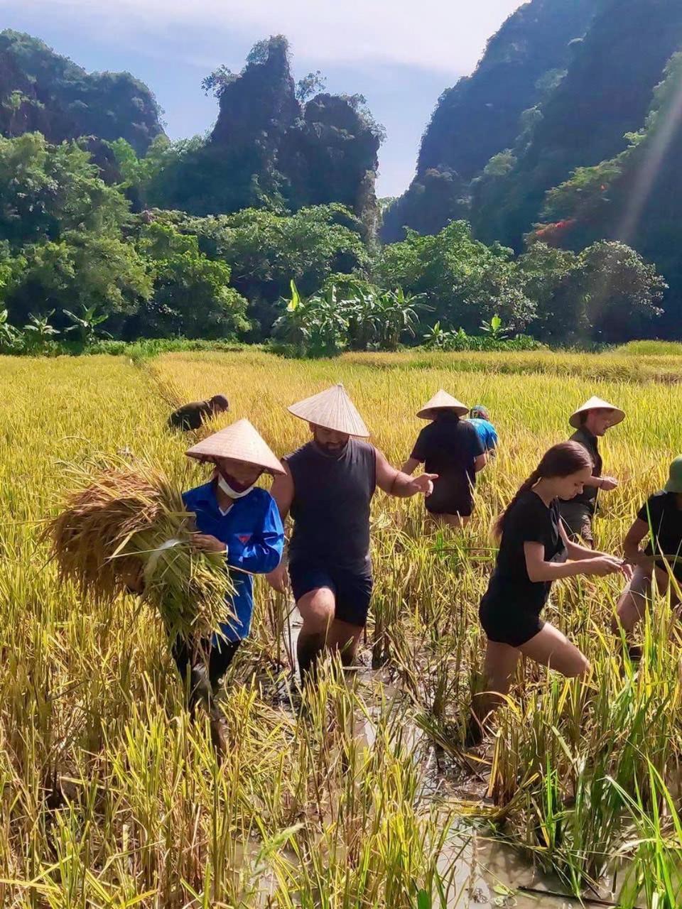 Viet Anh Homestay Ninh Binh Eksteriør bilde